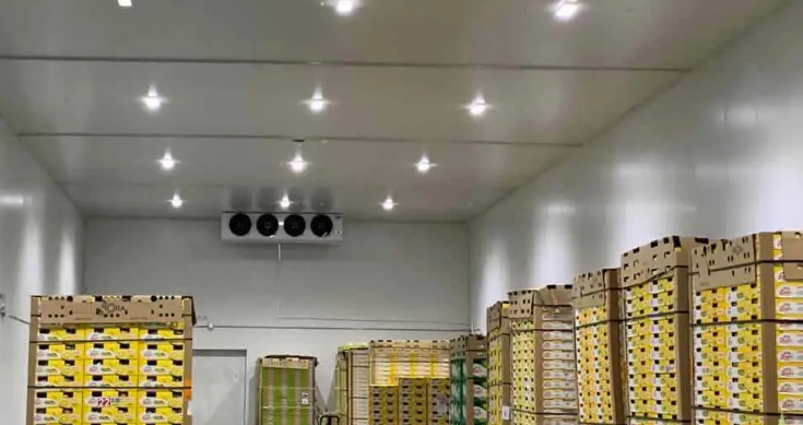 水果保鮮庫防潮防水層設(shè)置 水果保鮮庫防潮防水層設(shè)置