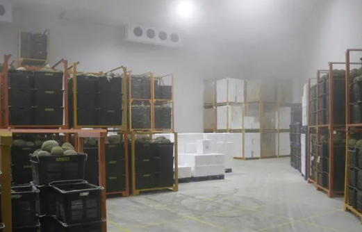 榴蓮放在冷庫里環境溫度是多少℃ 榴蓮放在冷庫里環境溫度是多少℃