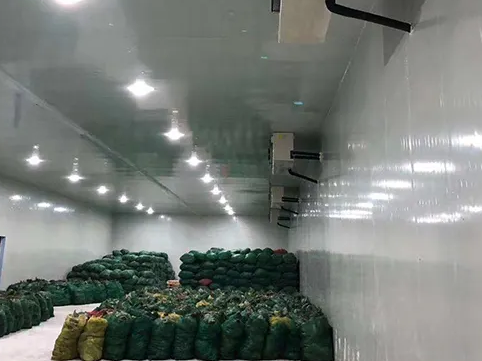 雪域制冷:如何建造一個性價比高的冷庫 雪域制冷:如何建造一個性價比高的冷庫