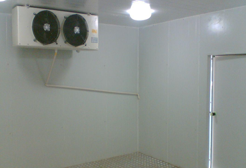 桃子保鮮冷庫存儲技巧 桃子保鮮冷庫存儲技巧