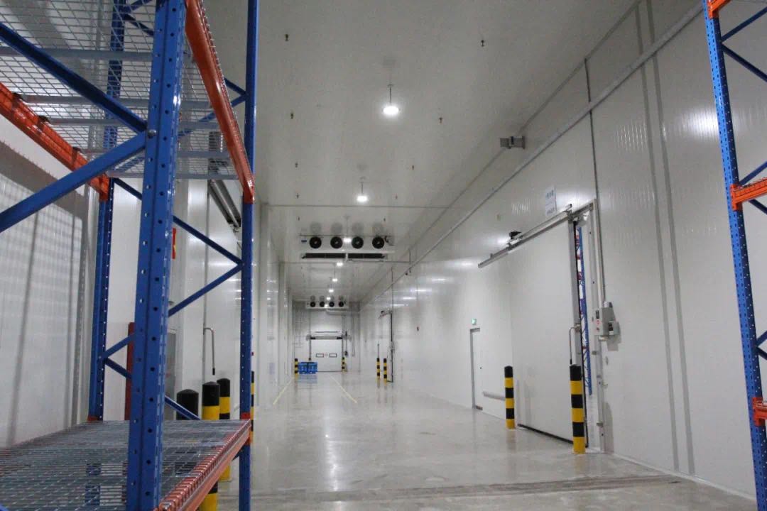 GMP冷庫(kù) GMP冷庫(kù)