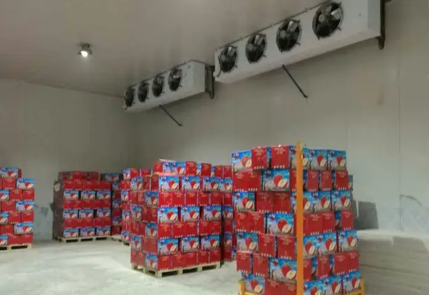 大連蘋果保鮮冷庫安裝多少錢一平方 大連蘋果保鮮冷庫安裝多少錢一平方