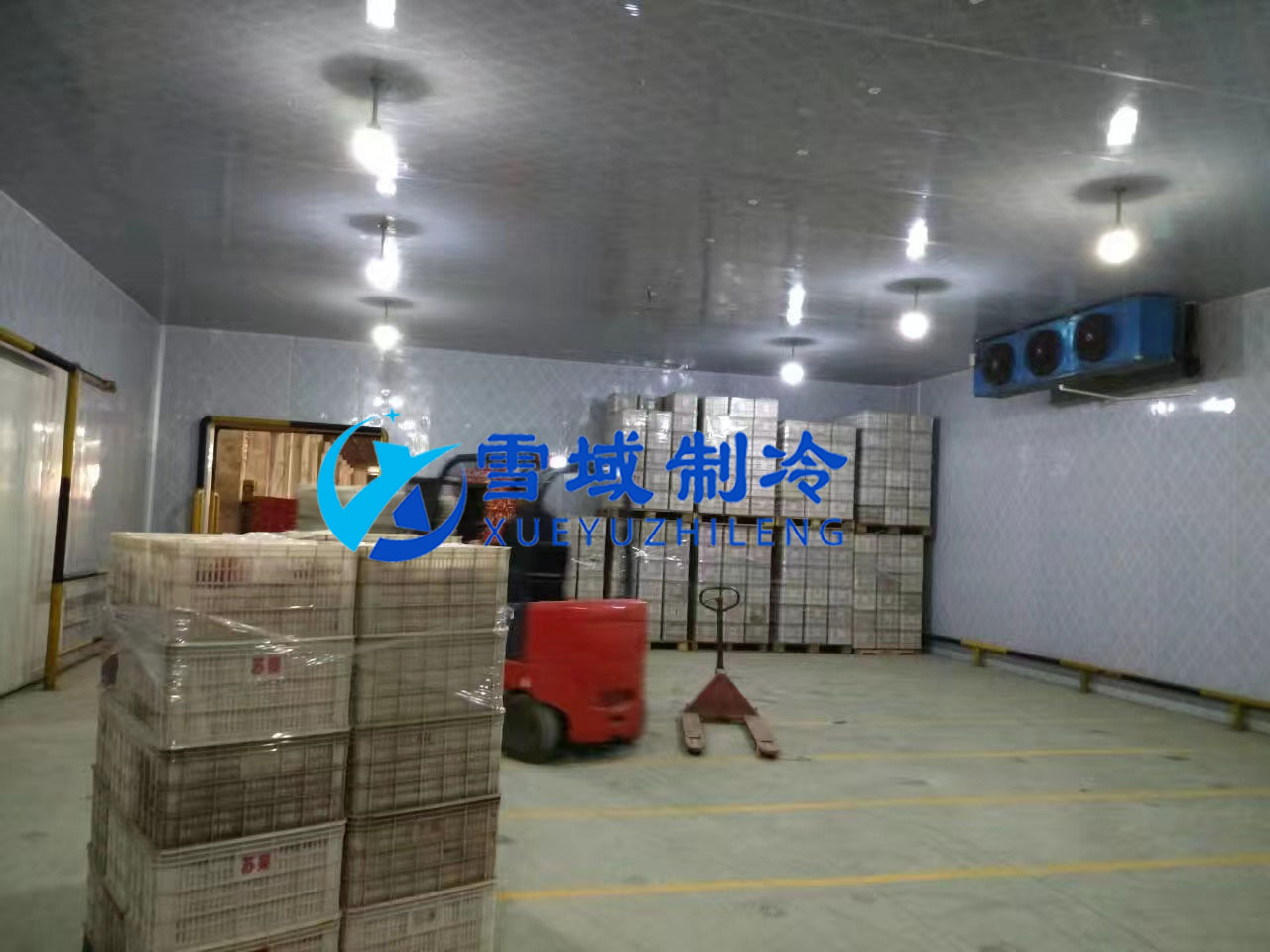 南京某水果公司水果冷庫現(xiàn)場圖片 南京某水果公司水果冷庫現(xiàn)場圖片