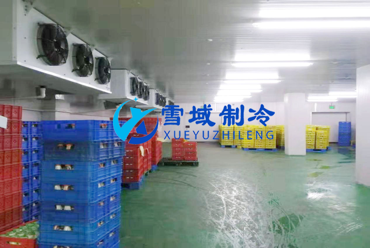 徐州衛(wèi)崗速凍冷庫現(xiàn)場圖片 徐州衛(wèi)崗速凍冷庫現(xiàn)場圖片