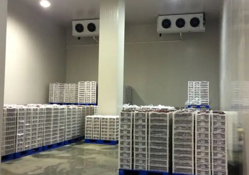 建造一個奇異果冷庫大約需要多少錢 建造一個奇異果冷庫大約需要多少錢