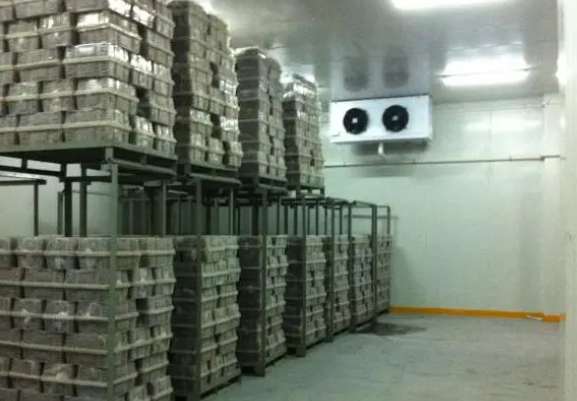 紅薯保鮮庫(kù)建造 紅薯保鮮庫(kù)建造