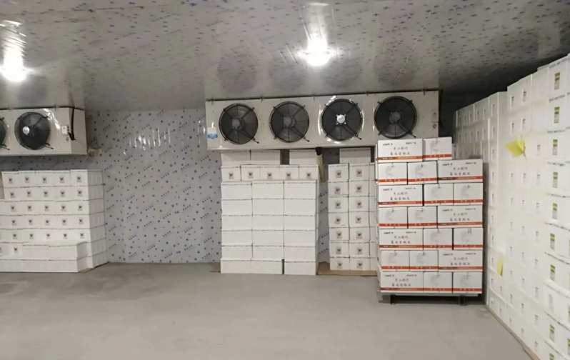 一個冷庫建造項目工期大概是多久 一個冷庫建造項目工期大概是多久