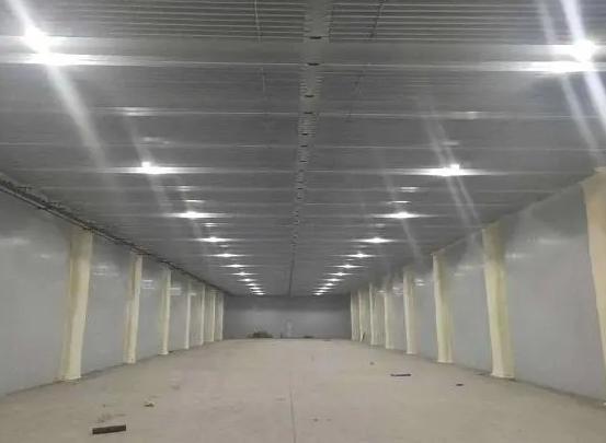 新鮮牛肉冷凍庫(kù)存儲(chǔ)有哪些特點(diǎn) 新鮮牛肉冷凍庫(kù)存儲(chǔ)有哪些特點(diǎn)