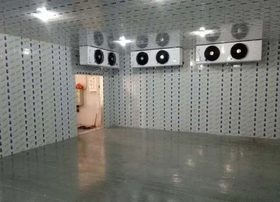 氣調(diào)冷庫(kù)和冷藏冷庫(kù)之間的區(qū)別 氣調(diào)冷庫(kù)和冷藏冷庫(kù)之間的區(qū)別