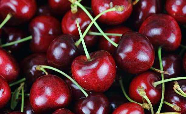 車厘子冷庫存儲技巧! 車厘子冷庫存儲技巧!