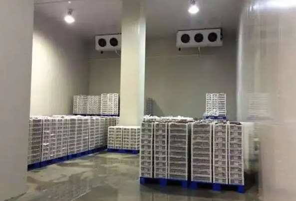 佛山冷庫出租收費標準及注意事項 佛山冷庫出租收費標準及注意事項