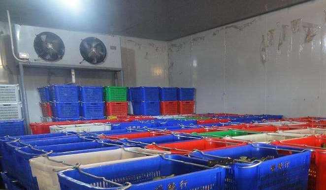 冷庫(kù)設(shè)計(jì)標(biāo)準(zhǔn)的相關(guān)規(guī)范 冷庫(kù)設(shè)計(jì)標(biāo)準(zhǔn)的相關(guān)規(guī)范