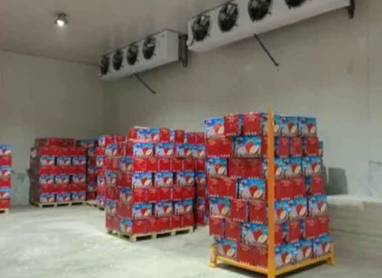 建造大型冷庫的設計與安裝方案 建造大型冷庫的設計與安裝方案