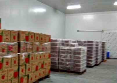 蘋果冷庫儲藏溫度多少合適 蘋果冷庫儲藏溫度多少合適