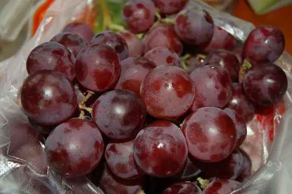 建造提子氣調(diào)保鮮庫一平米多少錢 建造提子氣調(diào)保鮮庫一平米多少錢