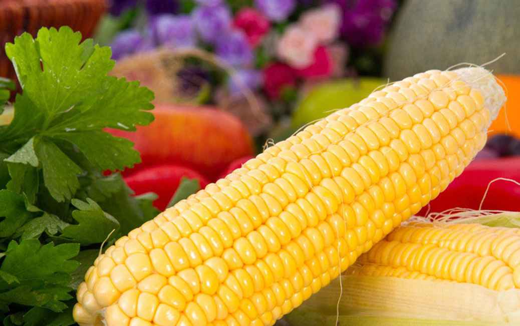 大量新鮮玉米怎么保鮮冷庫(kù)存放呢 大量新鮮玉米怎么保鮮冷庫(kù)存放呢