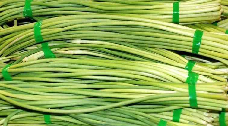 建150平米蒜苗保鮮冷庫(kù)需要多少錢(qián) 建150平米蒜苗保鮮冷庫(kù)需要多少錢(qián)