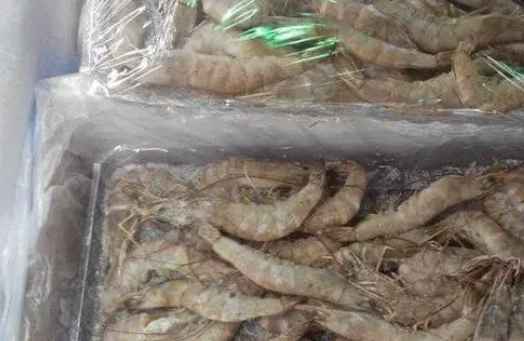 海鮮冷庫建設(shè)多少錢一平方 海鮮冷庫建設(shè)多少錢一平方