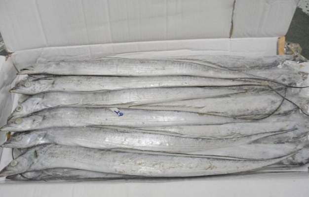 50平米帶魚冷庫安裝價格多少錢 50平米帶魚冷庫安裝價格多少錢