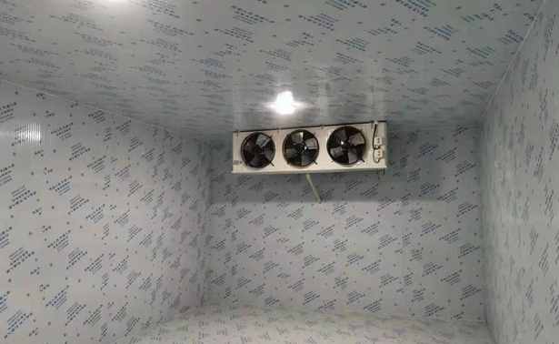 安裝500平米火龍果保鮮冷庫大約多少錢 安裝500平米火龍果保鮮冷庫大約多少錢