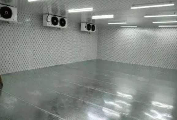 50平米冷庫有輻射嗎 50平米冷庫有輻射嗎