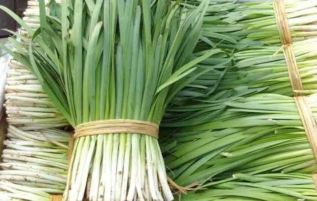 建500平方韭菜保鮮冷庫需要多少錢 建500平方韭菜保鮮冷庫需要多少錢