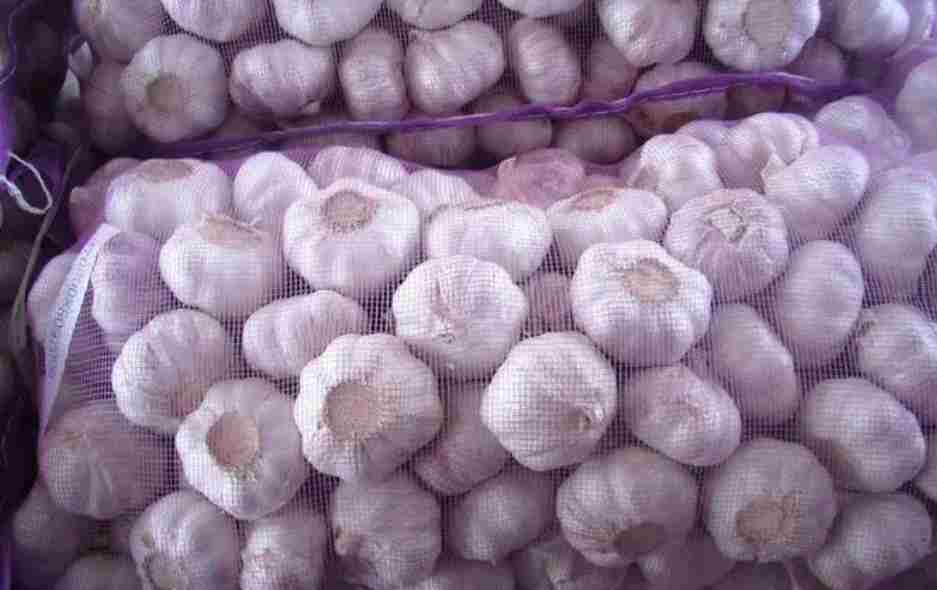 搭建一個儲存大蒜的冷庫造價多少錢 搭建一個儲存大蒜的冷庫造價多少錢