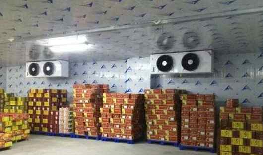 水果冷藏庫改造優(yōu)化方案 水果冷藏庫改造優(yōu)化方案