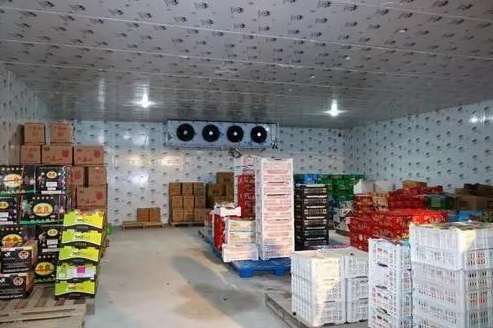 北京安裝白菜氣調冷庫大概多少錢 北京安裝白菜氣調冷庫大概多少錢