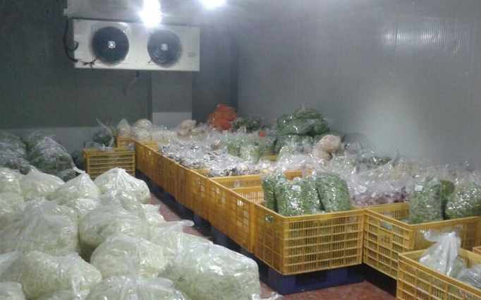 地下蔬菜保鮮庫建造要求 地下蔬菜保鮮庫建造要求