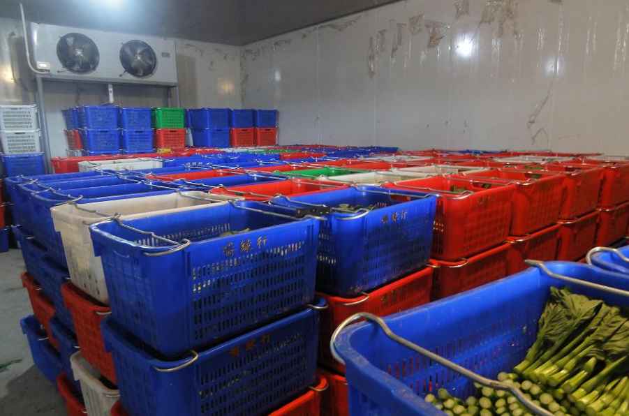 蔬菜能在氣調(diào)保鮮庫(kù)儲(chǔ)藏多少久 蔬菜能在氣調(diào)保鮮庫(kù)儲(chǔ)藏多少久