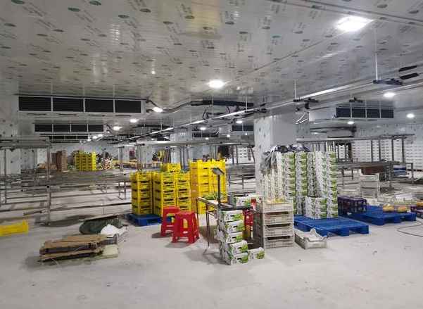 建400平米蔬菜冷藏庫要多少錢 建400平米蔬菜冷藏庫要多少錢