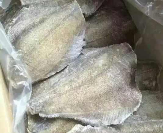 安裝50平米凍魚冷凍冷庫價格多少錢 安裝50平米凍魚冷凍冷庫價格多少錢