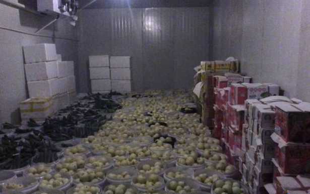 保鮮冷庫可以存放哪些東西 保鮮冷庫可以存放哪些東西