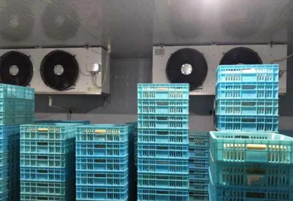 保鮮冷庫工程設(shè)計(jì)規(guī)范標(biāo)準(zhǔn)要求 保鮮冷庫工程設(shè)計(jì)規(guī)范標(biāo)準(zhǔn)要求