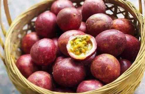 百香果冷庫儲存技巧和方法 百香果冷庫儲存技巧和方法