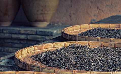 茶葉冷庫存茶葉能放多久 茶葉冷庫存茶葉能放多久