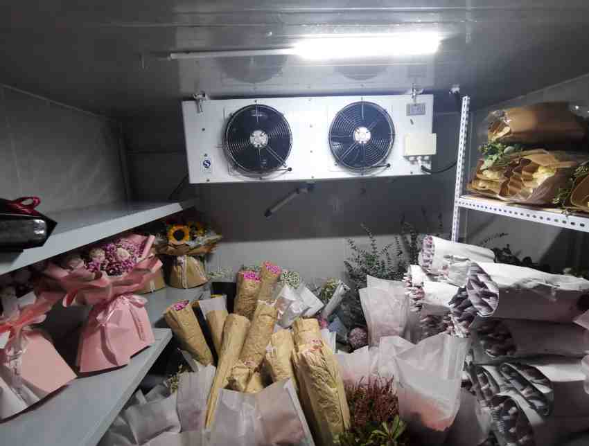 冷庫鮮花老是發(fā)霉怎么回事 冷庫鮮花老是發(fā)霉怎么回事