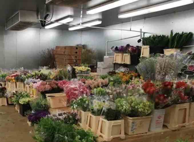 冷庫(kù)鮮花保存時(shí)間長(zhǎng)的方法 冷庫(kù)鮮花保存時(shí)間長(zhǎng)的方法