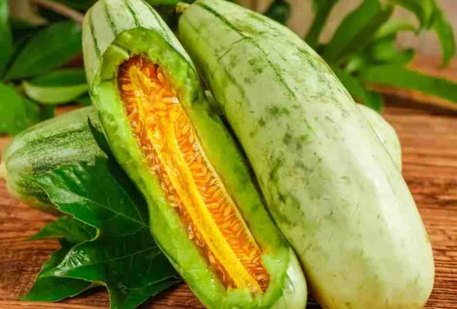 羊角蜜保鮮冷庫存儲(chǔ)溫度 羊角蜜保鮮冷庫存儲(chǔ)溫度