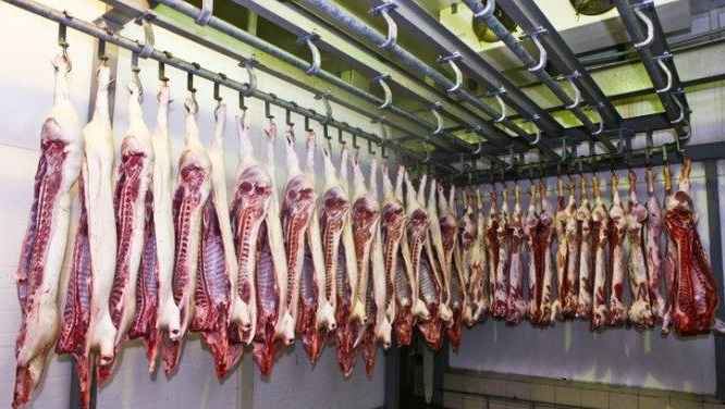 建一個羊肉保鮮冷庫要多少錢 建一個羊肉保鮮冷庫要多少錢