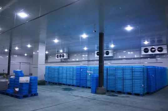 500平方的冷庫一天用多少度電量 500平方的冷庫一天用多少度電量