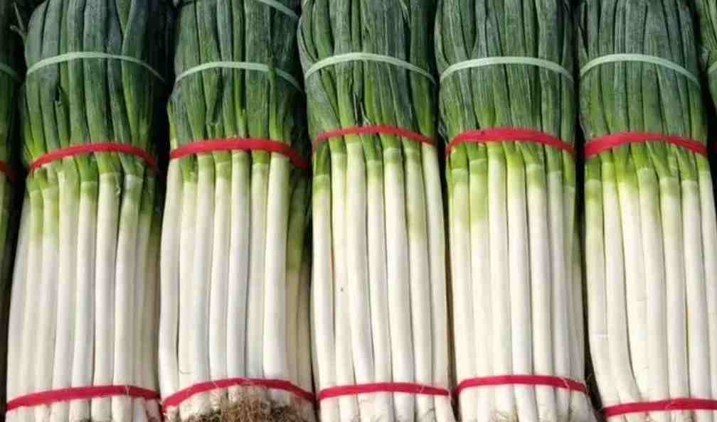 大蔥保鮮冷庫溫度多少度比較好 大蔥保鮮冷庫溫度多少度比較好