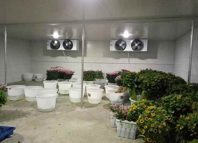 冷庫地面施工工藝的流程內(nèi)容 冷庫地面施工工藝的流程內(nèi)容