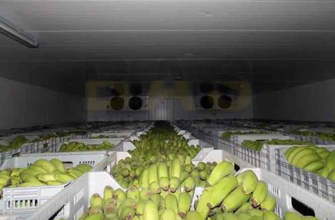 造一個450平米冷庫要多少費用 造一個450平米冷庫要多少費用