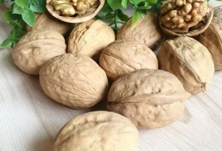 核桃放冷庫(kù)的溫度多少合適 核桃放冷庫(kù)的溫度多少合適