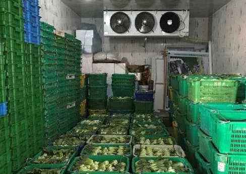 蘇州蔬菜氣調冷庫大概多少錢 蘇州蔬菜氣調冷庫大概多少錢