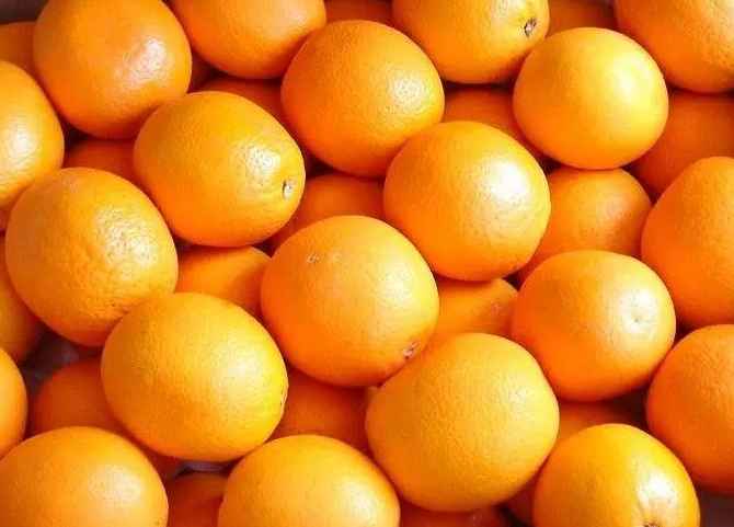 橙子氣調(diào)冷庫(kù)能保鮮多久 橙子氣調(diào)冷庫(kù)能保鮮多久