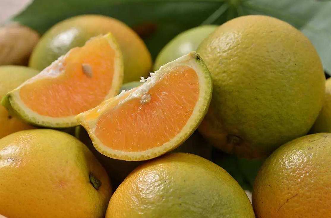 橙子氣調(diào)冷庫(kù)能保鮮多久 橙子氣調(diào)冷庫(kù)能保鮮多久