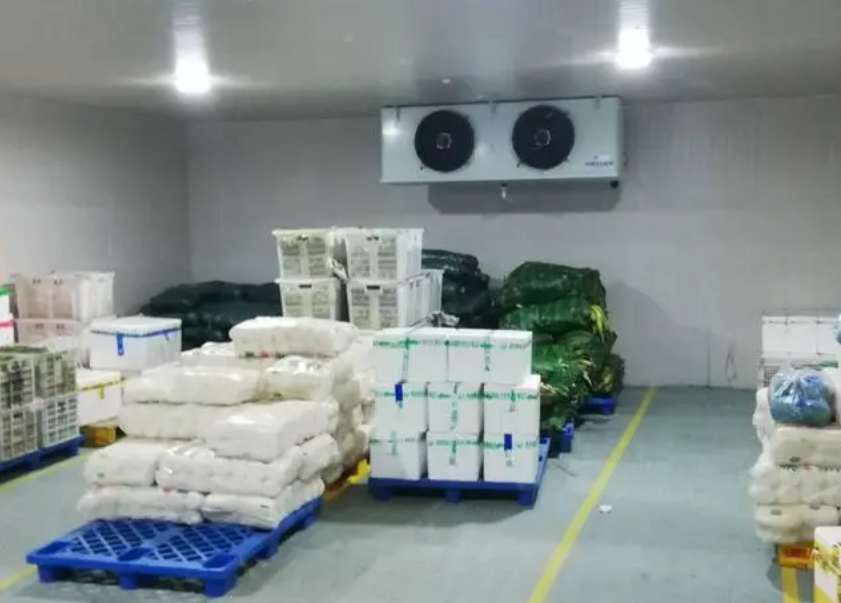 建地上冷庫(kù)和建地下冷庫(kù)哪種效果好 建地上冷庫(kù)和建地下冷庫(kù)哪種效果好